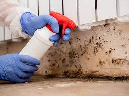 Mold Remediation for Vacation Homes in Half Moon Bay, CA